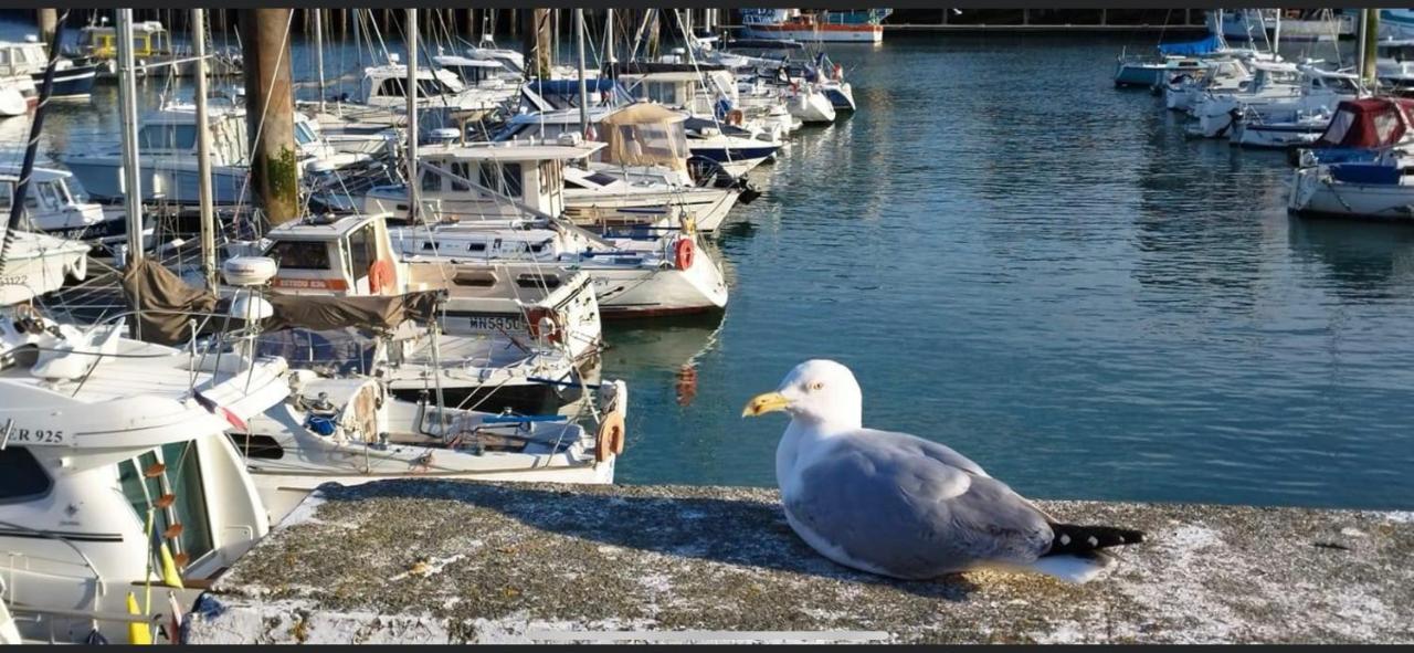 Magnifique Appartement L'Aigrette Dieppe Buitenkant foto